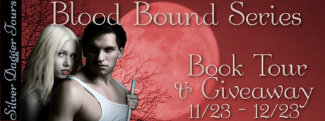 Blood Bound Series by J.L. Meyers