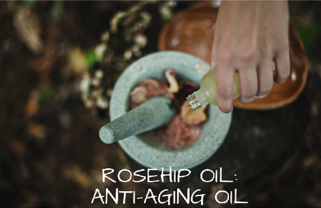 Rosehip Oil: The Anti-Aging Oil