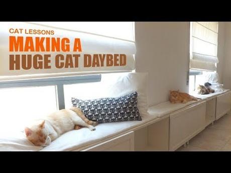 [Video] #9 – How to make A DIY Mega Cat Daybed At Your Home?