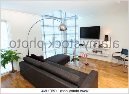stock photo view into modern living room with leather corner sofa and contemporary 22291375