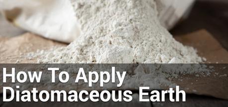 how to use Diatomaceous Earth