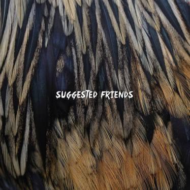 Suggested Friends – ‘Suggested Friends’ album review