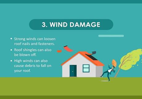 What Can Damage Your Roof?