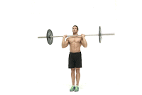 Muscle Building Exercises