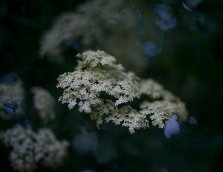 ARTmonday: Fracture Holiday Print Sale Fracture Holiday Sale Photographer Kelli Pennington