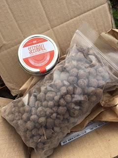 Product Review - Seedball Poppies and more