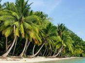 Best Time Visit Andaman Nicobar Islands