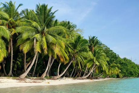 The Best Time to Visit Andaman and Nicobar Islands