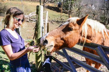 A Cozy Creekside Farmhouse Stay in Mars Hill, NC