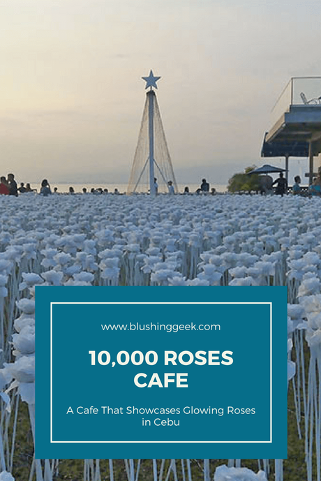 10,000 Roses Cafe : A Cafe That Showcases Glowing Roses in Cebu
