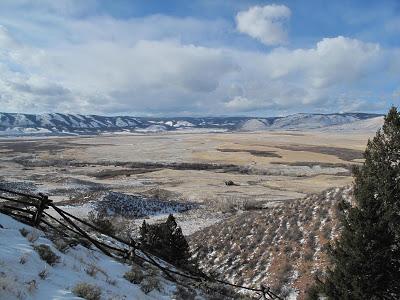 Guest Post: The Cactus Field(s) of Sheep Mountain