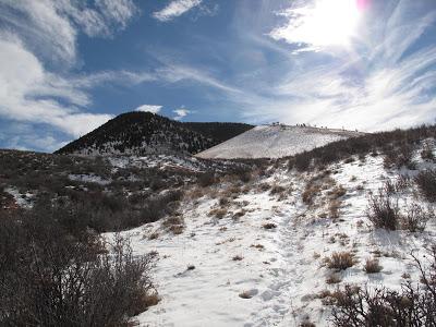 Guest Post: The Cactus Field(s) of Sheep Mountain