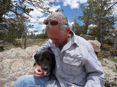 Guest Post: The Cactus Field(s) of Sheep Mountain