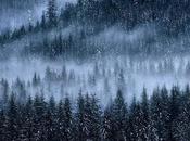 Bandcamp Bonanza Winter Here