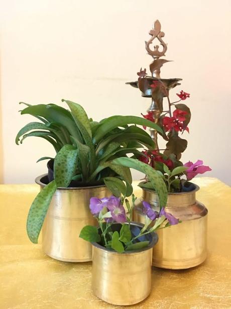 Brass lamps and old vessels with flowers and plants