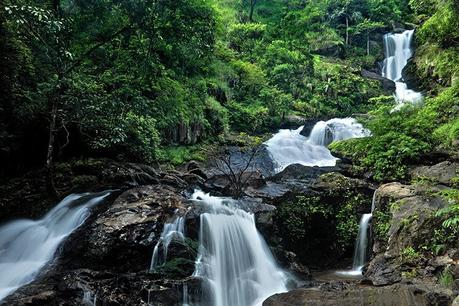 Best Time to Visit Coorg (Kodagu), India