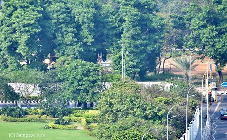caring for flora and fauna ~ ethnic cleansing and fitting spikes to trees to protect cars