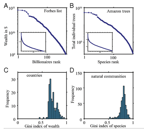 Wealth inequality as a law of nature.