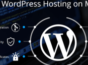 Should Invest Managed WordPress Hosting: Pros Cons