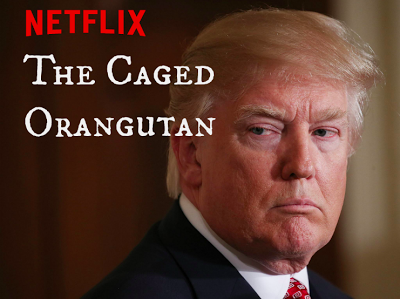 Netflix Presents: The Caged Orangutan