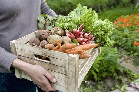 gardening with students