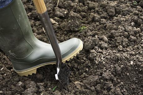 gardening with students