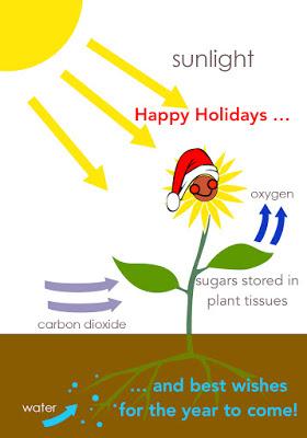 Photosynthesis to the Rescue?