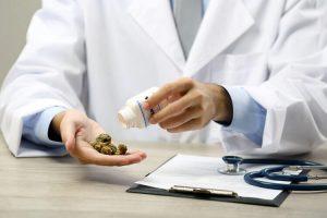 WHO States Medical Marijuana has No Public Health Risks