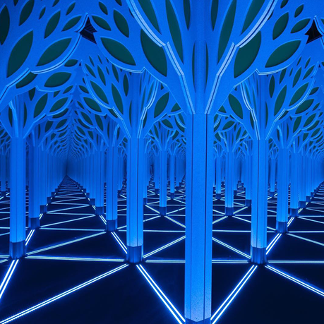 Your Last Minute Christmas Guide The Museum of Science and Industry