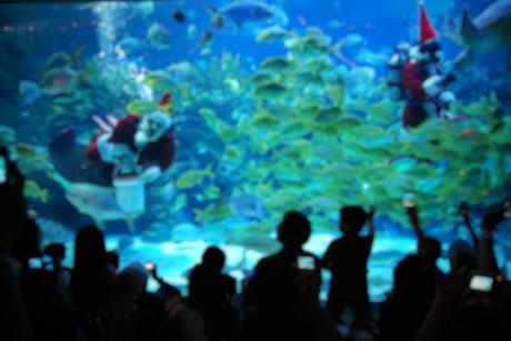 Your Last Minute Christmas Guide Breakfast With Santa