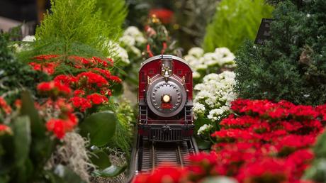 Your Last Minute Christmas Guide wonderland express