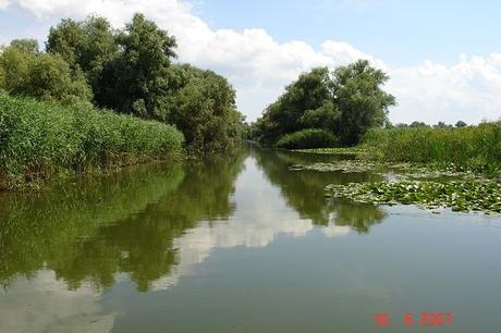Danube Delta in the top of sight to see in 2018!