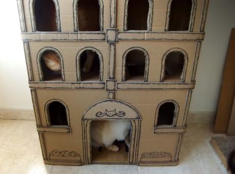 How to make A 5 Floor Tall Building For Cats [Step By Step]