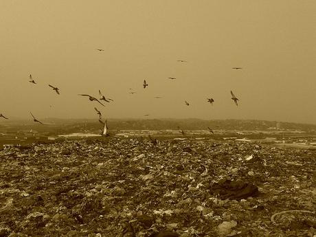 Landfill_garbage Landfill_garbage