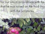 Thirty Days Jesus: Resurrection Central Importance