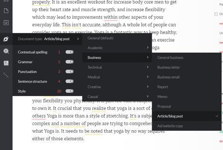 grammarly document type checks