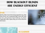 Save Energy Electricity Bills with Blackout Blinds Infographic