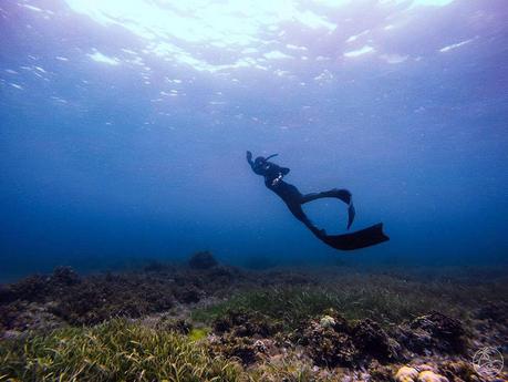 What An Adventure-Filled 2017! HeartSea