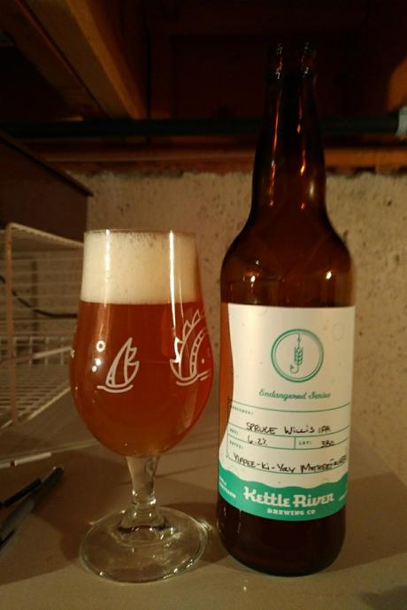 Spruce Willis IPA – Kettle River Brewing Co