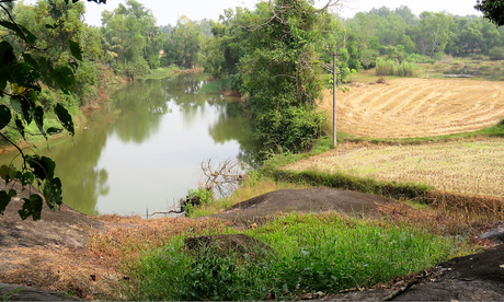 A small pond around the Kallu Ganapati temple