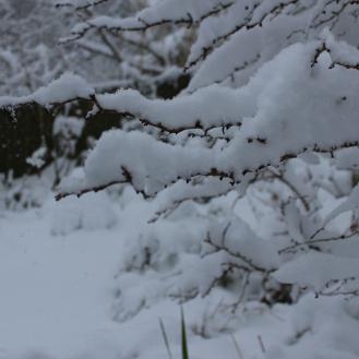 December - snow - 20cms