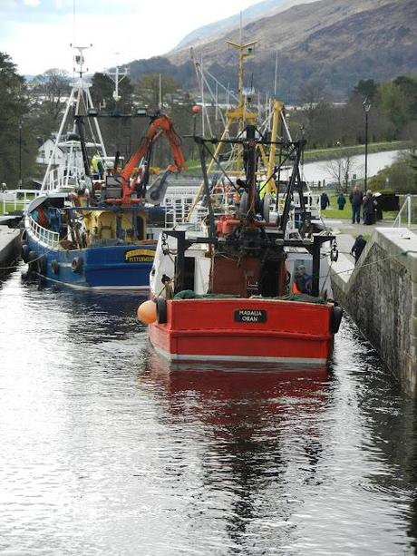 Day 2 - the trans Scotland canoe challenge