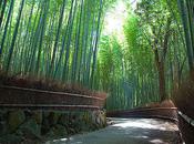 Most Unique Paths World