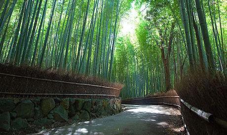 8 Of The Most Unique Paths In The World