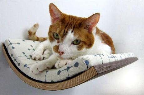 Curve Pet Bed is the Cat's (and Dog's) Pyjamas