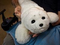 Robotic Therapy Seal Pup Rubs Canada's Seal Hunters the Wrong Way