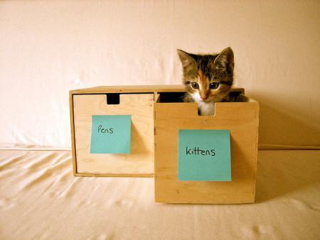 20 Brilliant Ways To Organize Your Cats