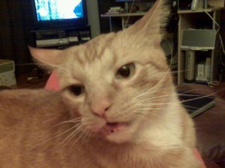 HAWMC - Things I need