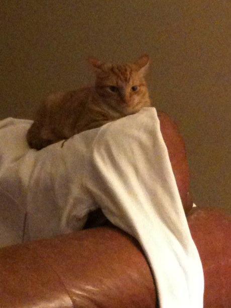 HAWMC - Things I need