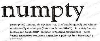 N is for …Numpty